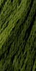 Green With Envy - The Gentle Art 6 Strand Floss #0196