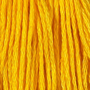Gold Splendour - Valdani 6 Ply Floss #12