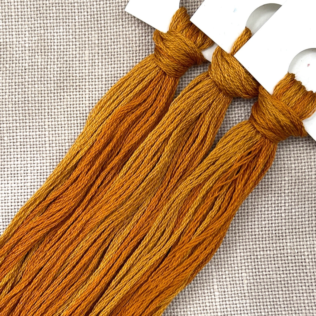 Acorn Squash - Colour and Cotton 6 Strand Floss - CAC-405