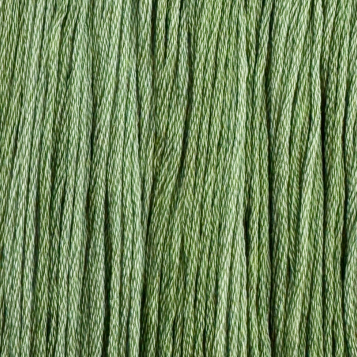 Aloe Vera - Colour and Cotton 6 Strand Floss - CAC-731