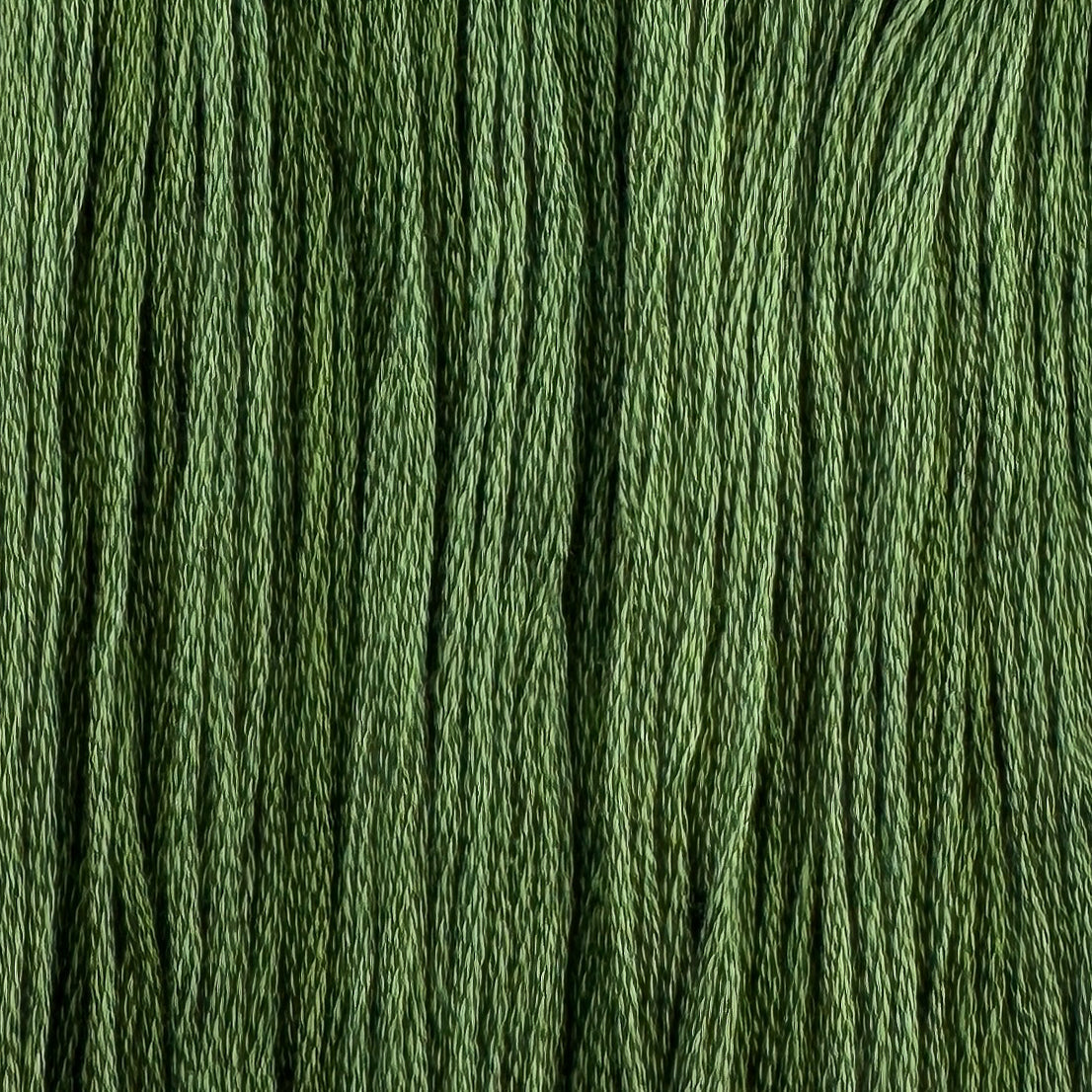 Asparagus - Colour and Cotton 6 Strand Floss - CAC-729