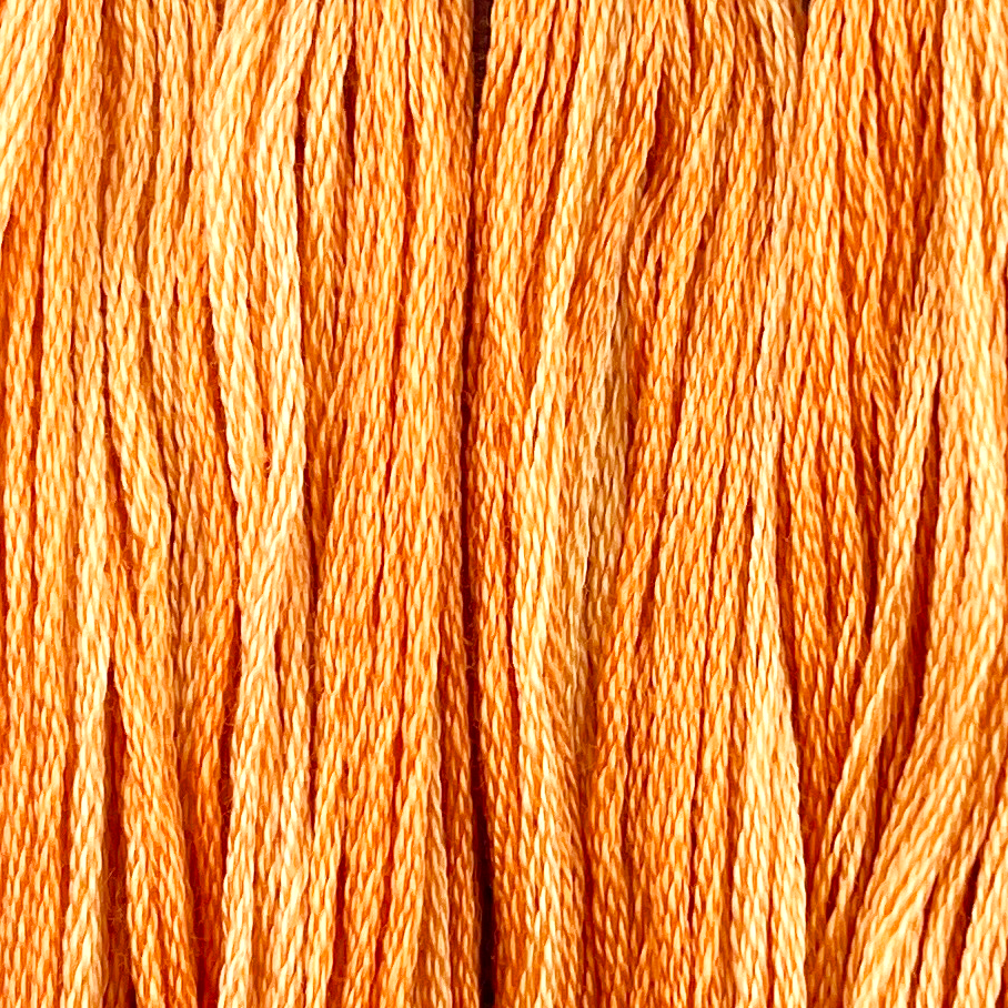 Baby Carrots - Colour and Cotton 6 Strand Floss - CAC-491