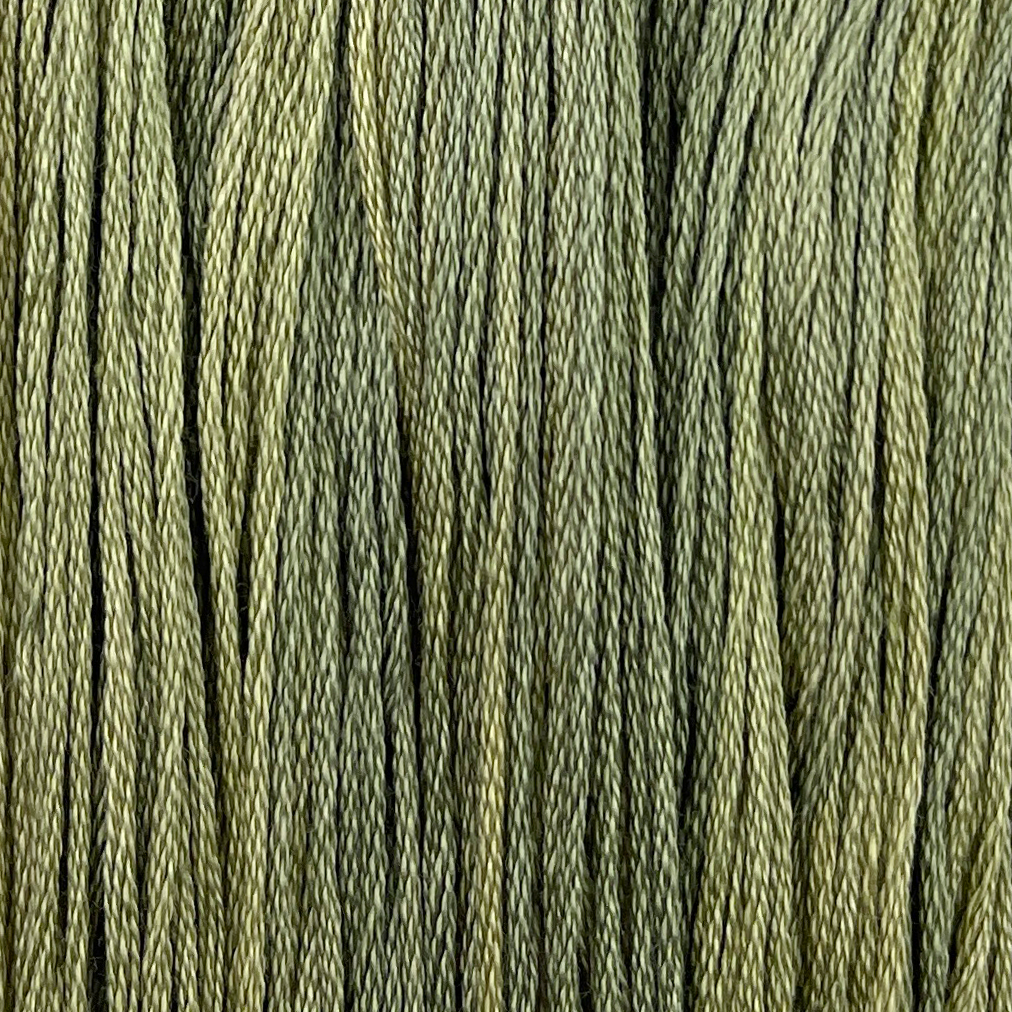 Barrel Cactus - Colour and Cotton 6 Strand Floss - CAC-577