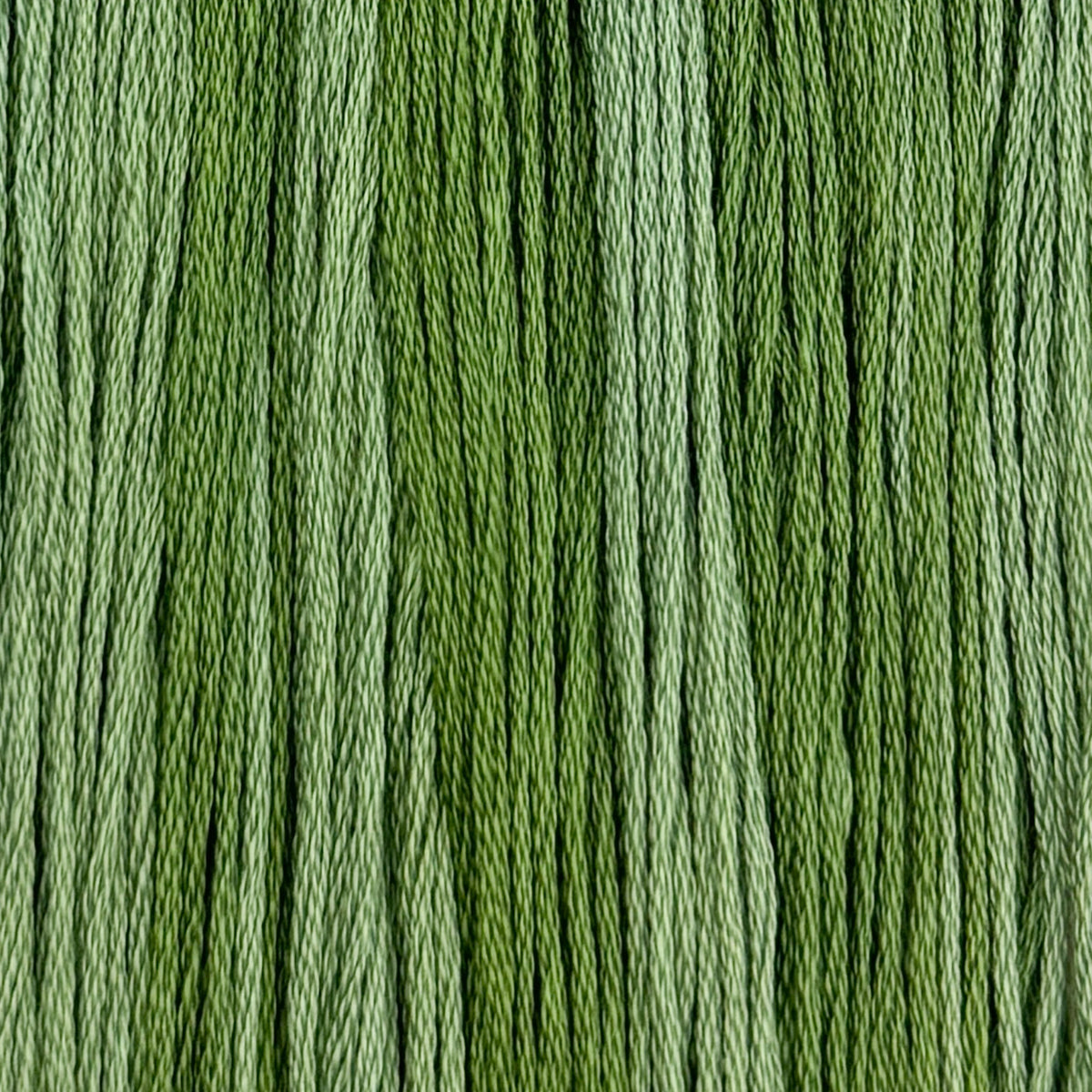 Clover - Colour and Cotton 6 Strand Floss - CAC-733
