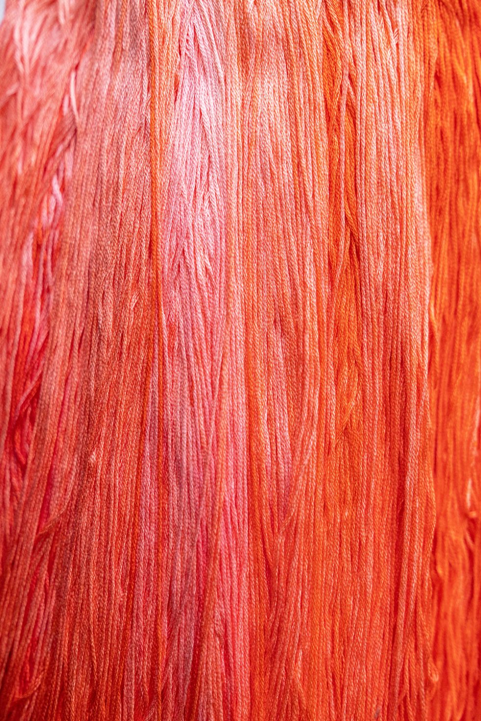 Habanero - The Gentle Art 6 Strand Floss #0592