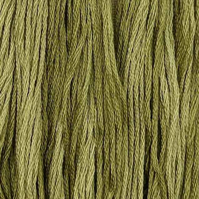 Holly - Colour and Cotton 6 Strand Floss - CAC-443
