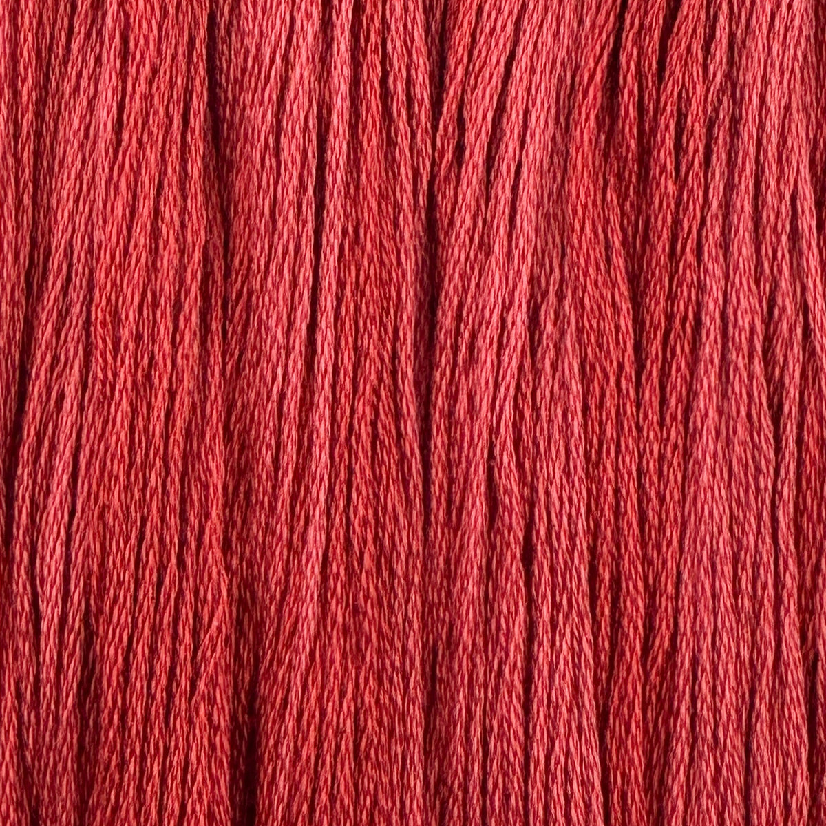 Love Bug - Colour and Cotton 6 Strand Floss - CAC-728