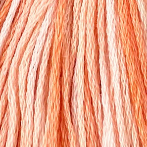 Peaches - Valdani 6 Ply Floss #M22