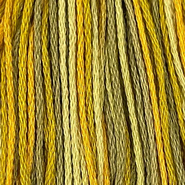 Harvest - Valdani 6 Ply Floss #M28