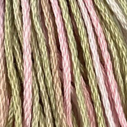 Early Spring - Valdani 6 Ply Floss #M63