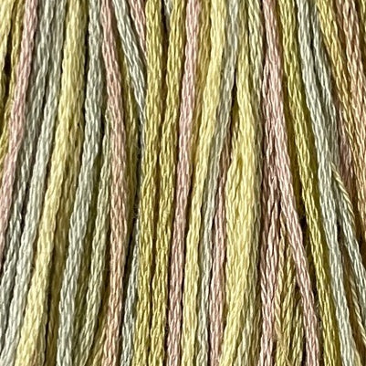 Distant Grass - Valdani 6 Ply Floss #M80