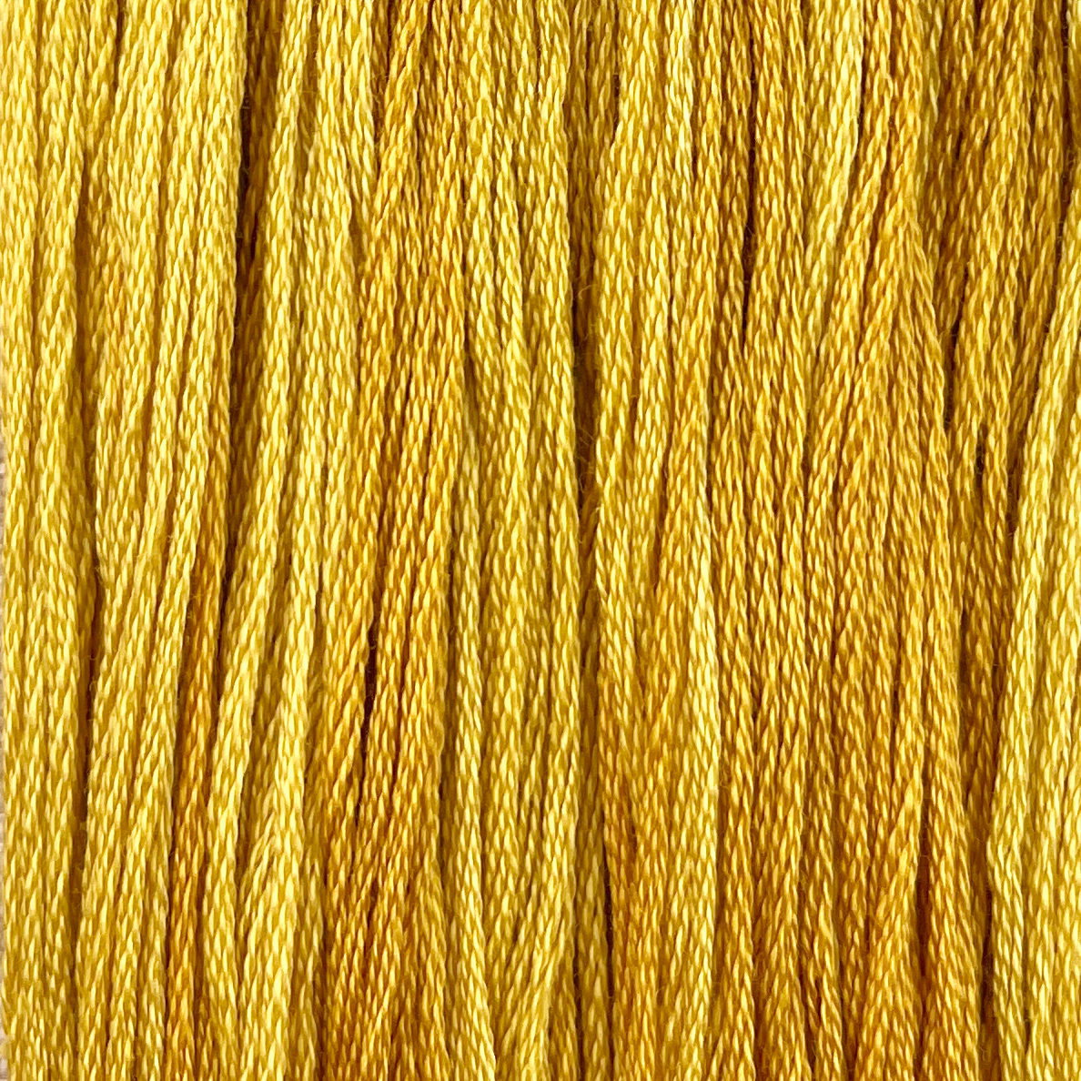 Marigold - Colour and Cotton 6 Strand Floss - CAC-513