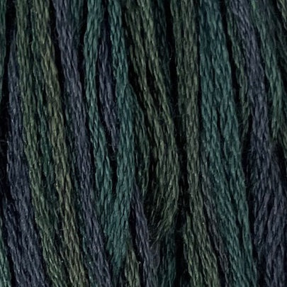 Dark Spruce - Valdani 6 Ply Floss #O536