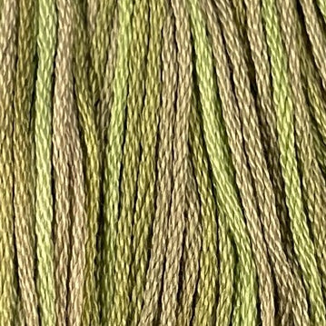 Watery Weed - Valdani 6 Ply Floss #O559