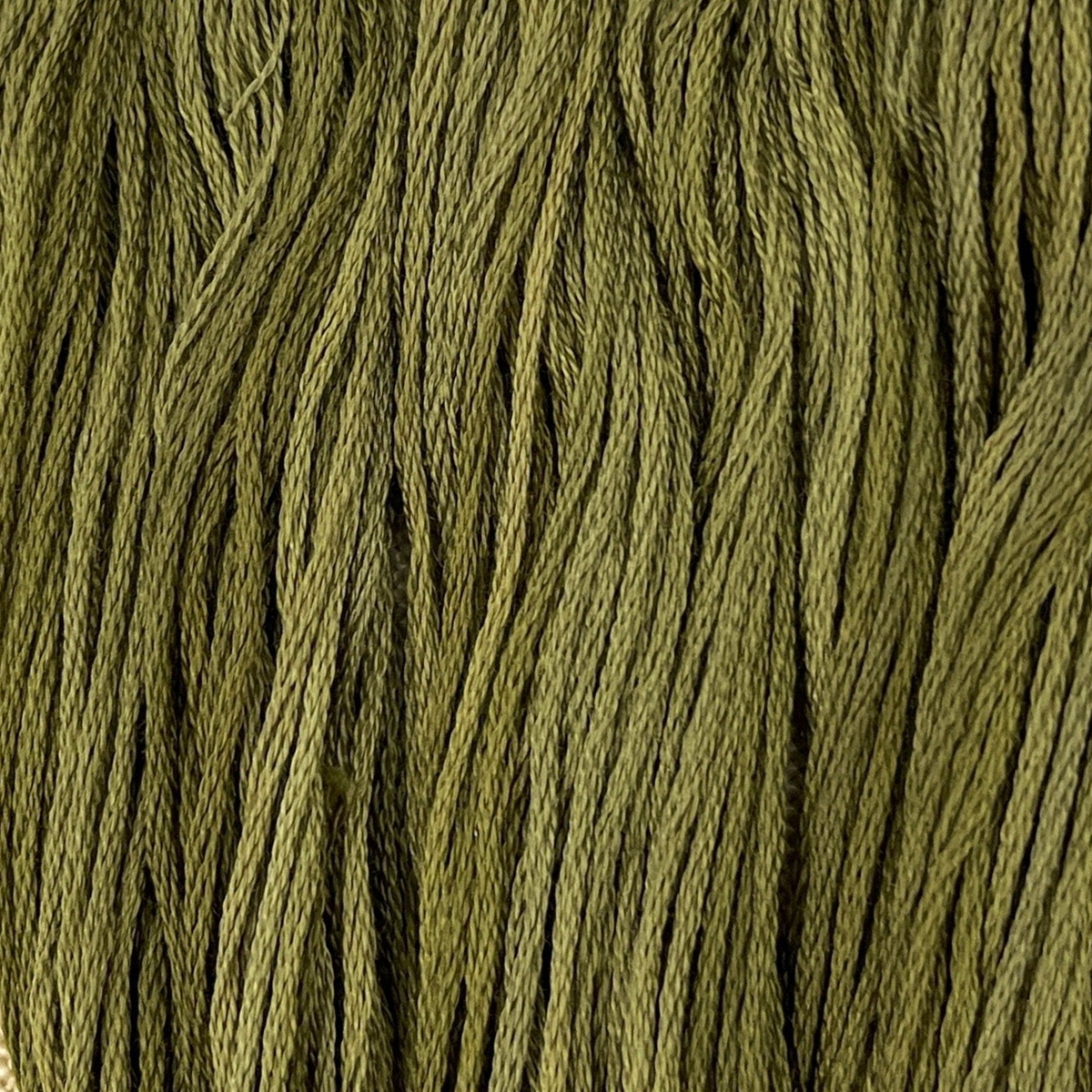 Pine Needles - Colour and Cotton 6 Strand Floss - CAC-433