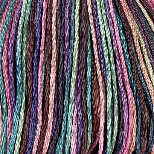 Color Rhapsody - Valdani 6 Ply Floss #S301