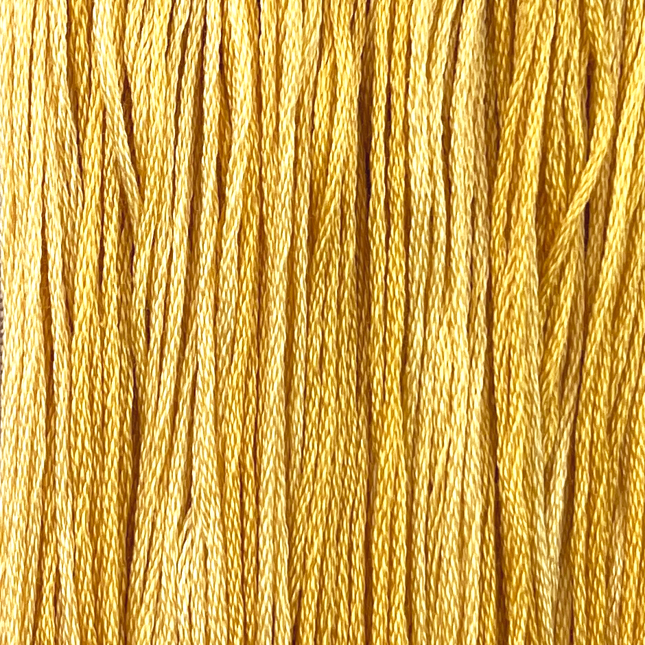 Saffron - Colour and Cotton 6 Strand Floss - CAC-613