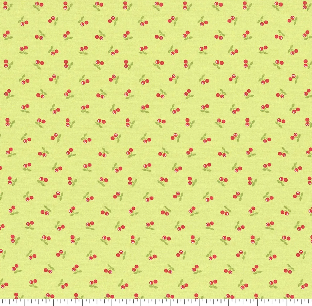 Cali &amp; Co. Lime | 29194 18