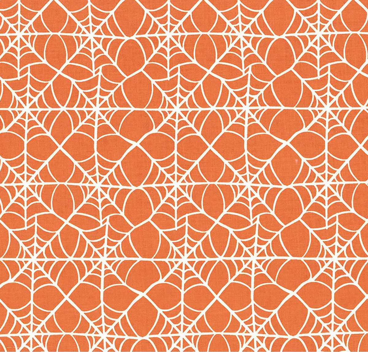 Hey Pumpkin | C16033 | Webs - Orange