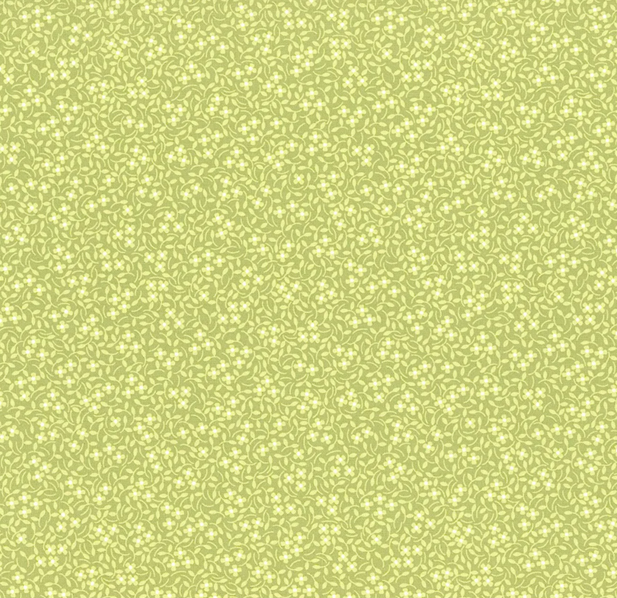 Cali & Co. Pistachio | 29193 37