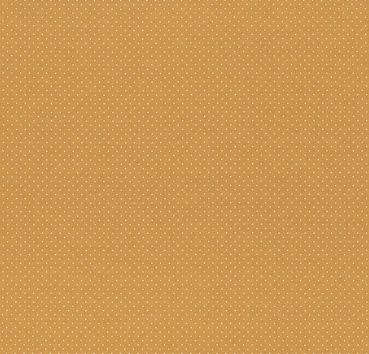 Enchantment Caramel Swiss | 43176 15