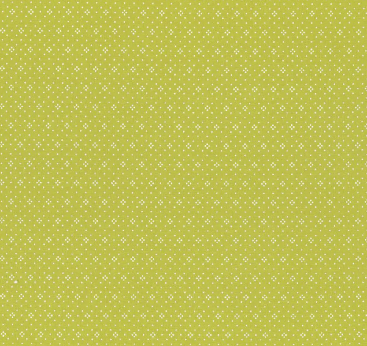 Eyelet Grass | 20488 82