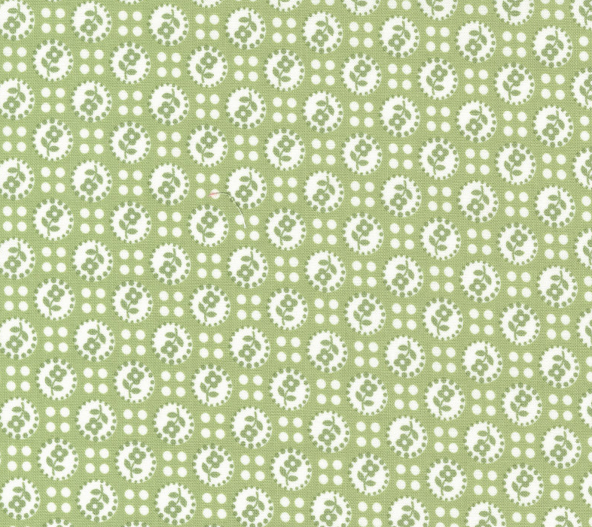 Lighthearted Green | 55292 19