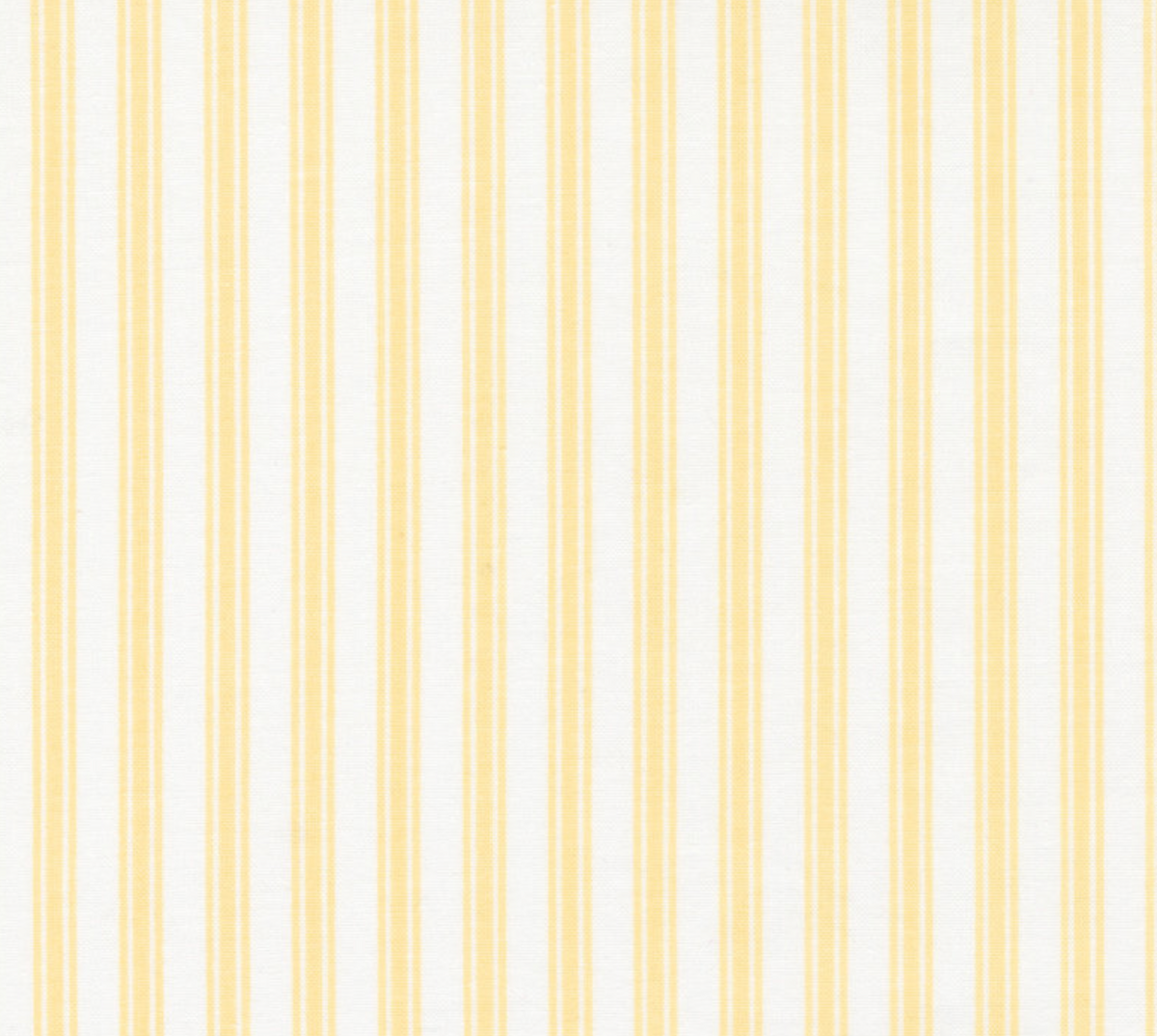 The Shores Sunshine | 18746 22