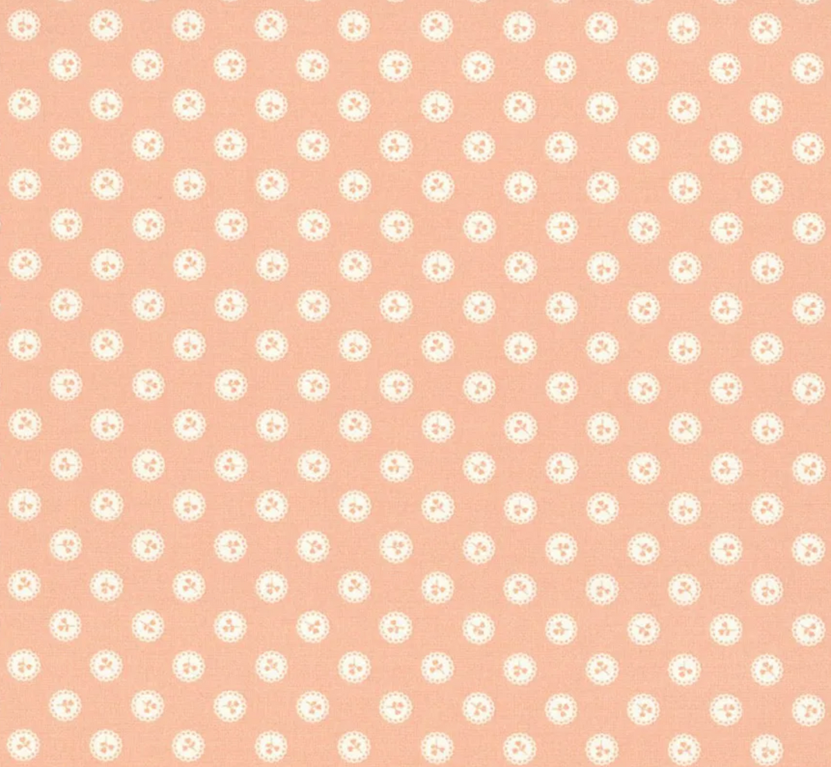 Dainty Meadow Rose | 31746 18