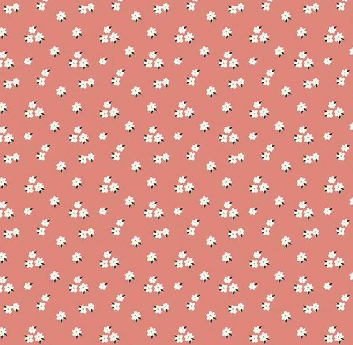 Let's Create | C13695 | Flowers - Coral