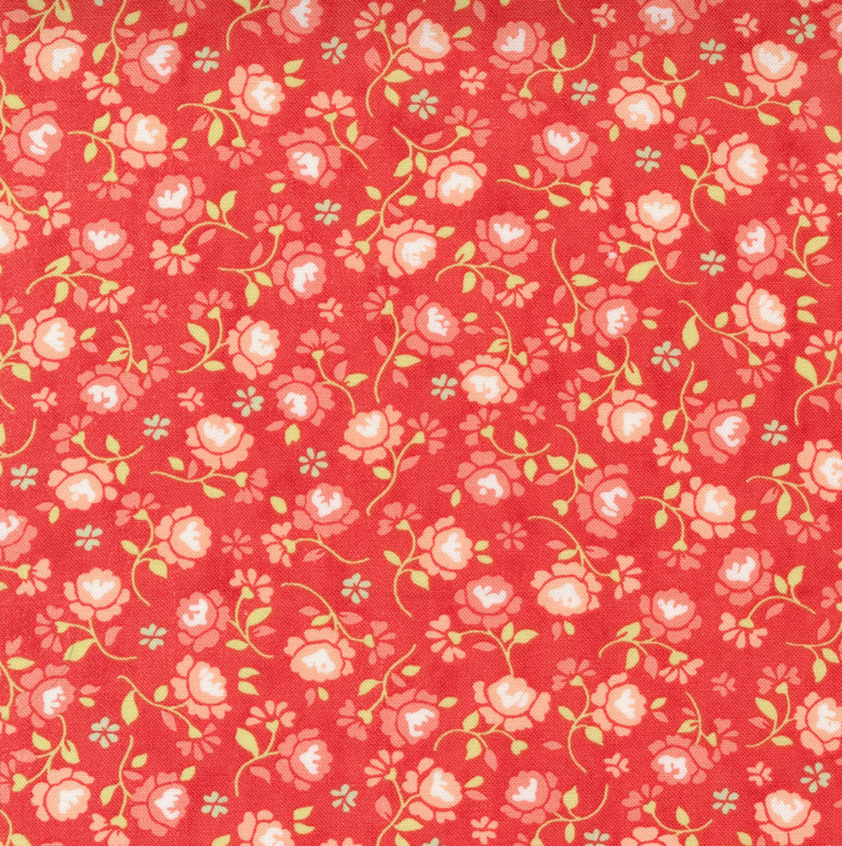 Fresh Fig Favorites Red | 20416 14
