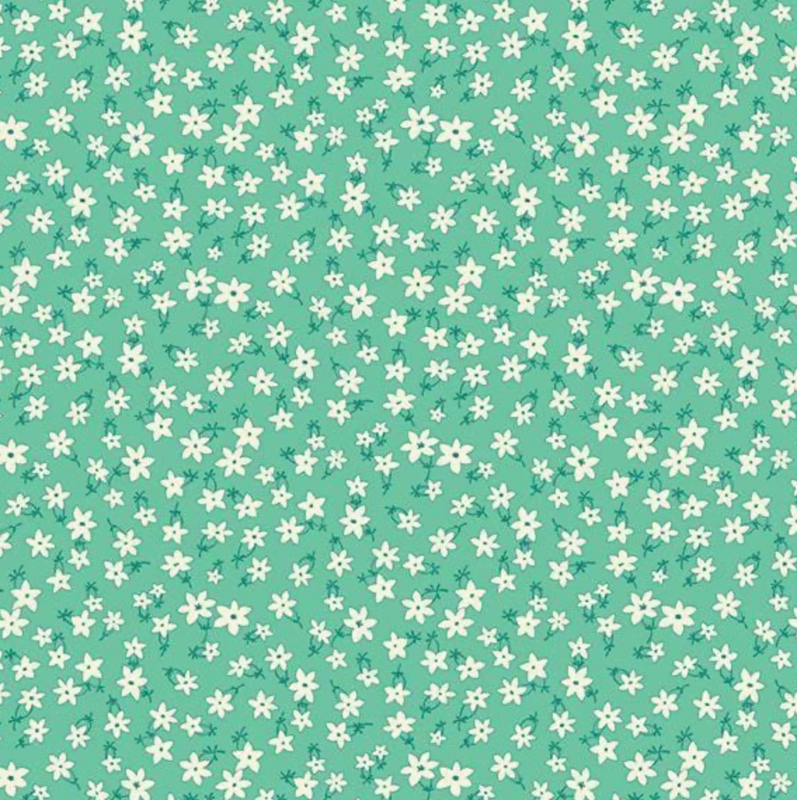 Aunt Grace Garden Variety | R351028D | Star Flower - Aqua