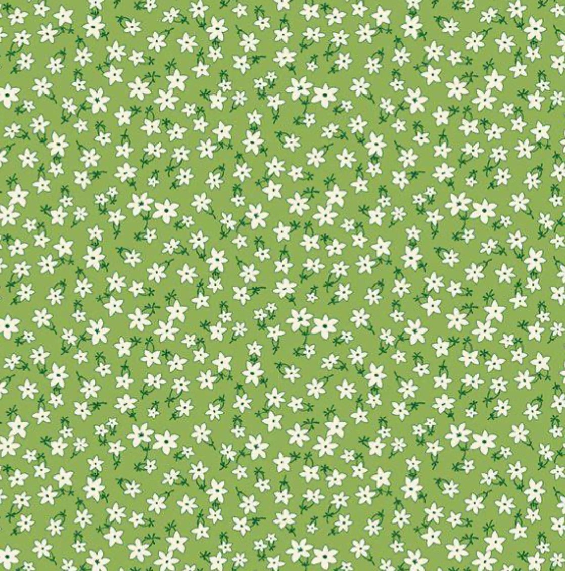 Aunt Grace Garden Variety | R351028D | Star Flower - Green
