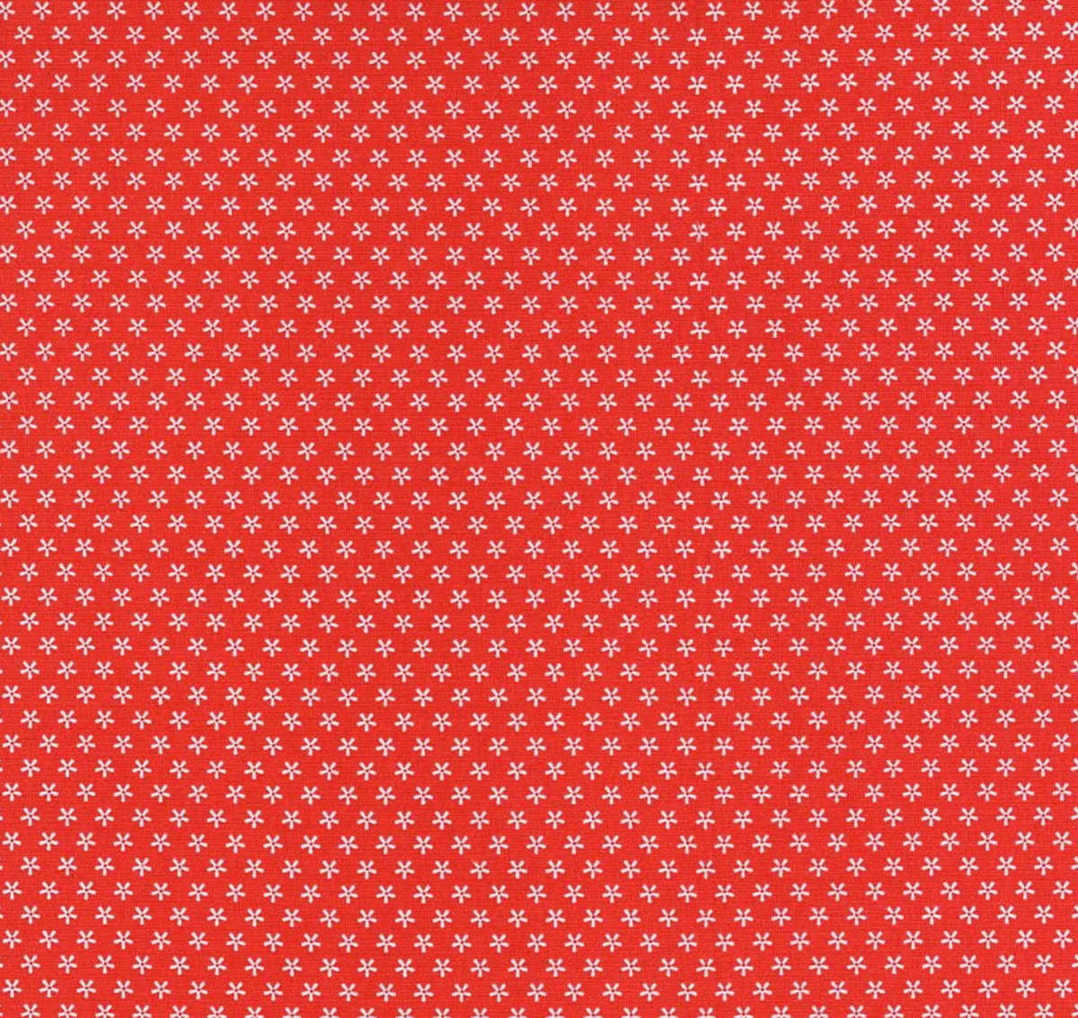 Bee Basics | C6403 | Tiny Daisy - Red