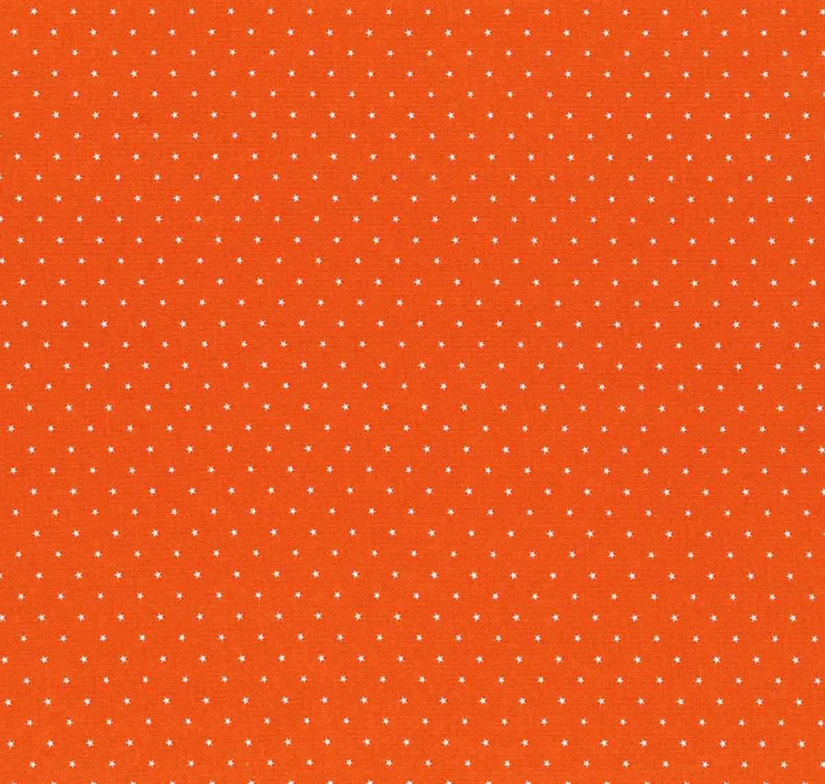 Midnight Magic 2 Pumpkin | 24106 13