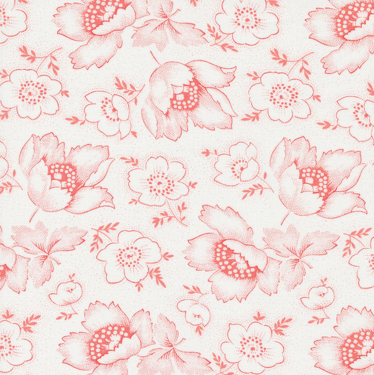 Linen Cupboard  | 20481 11