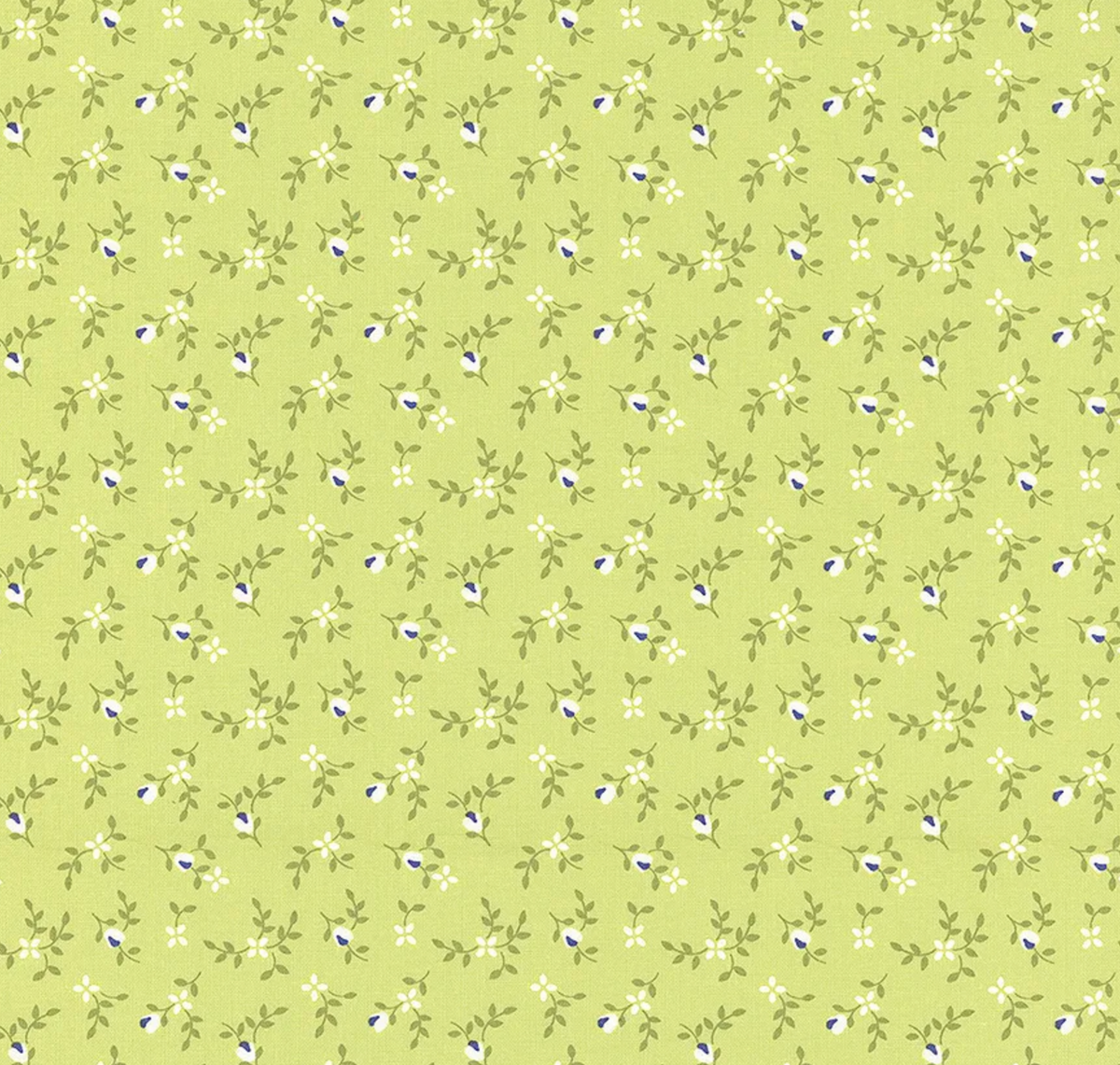 Cali & Co. Lime | 29192 38