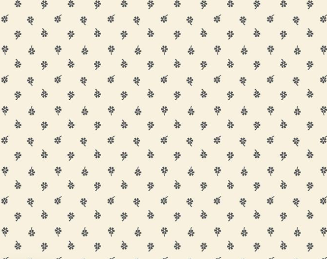 Everyday Essentials | R310903D | Cream
