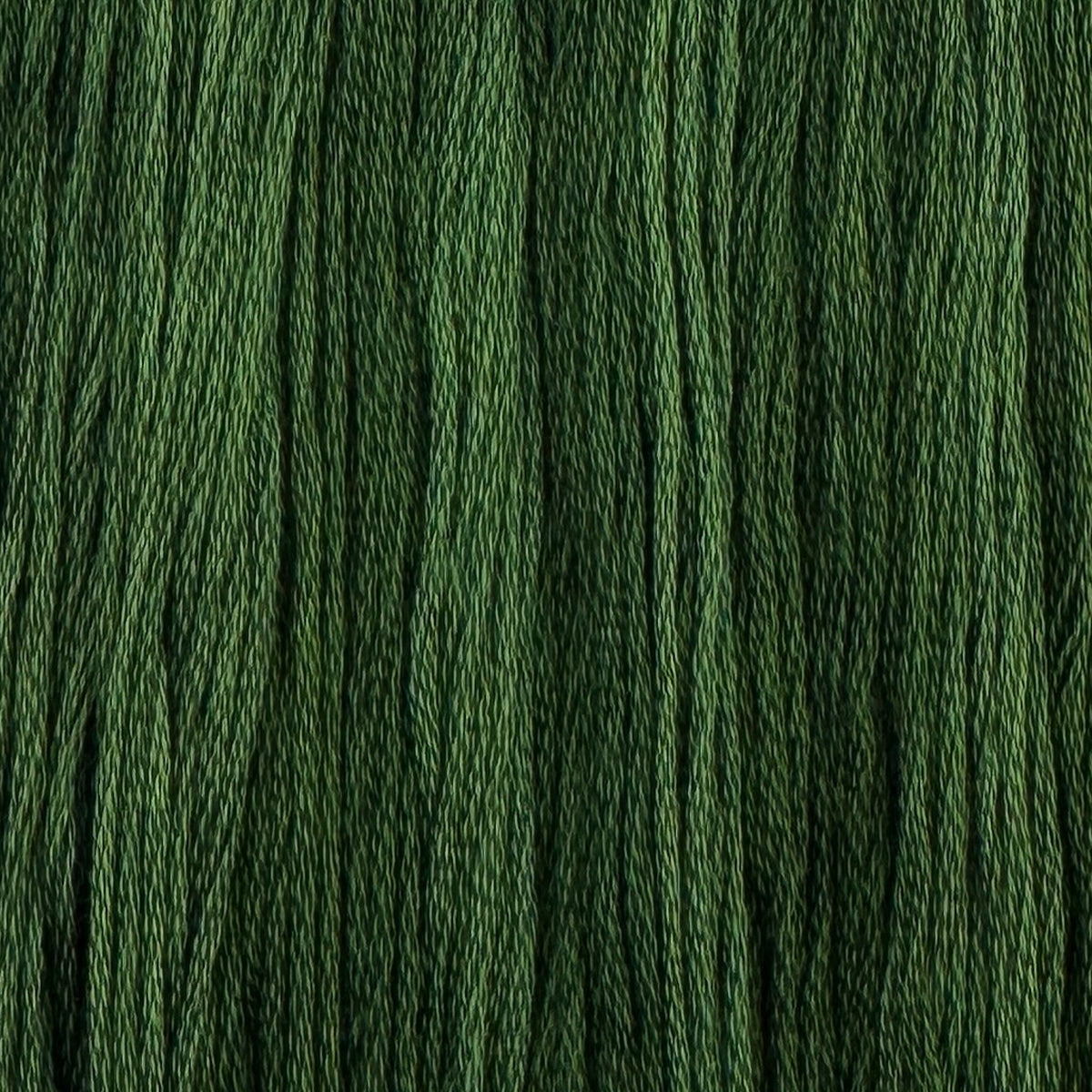 Shamrock - Colour and Cotton 6 Strand Floss - CAC-730