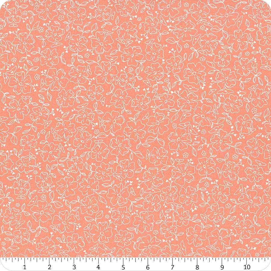 Dainty Meadow Coral | 31743 19