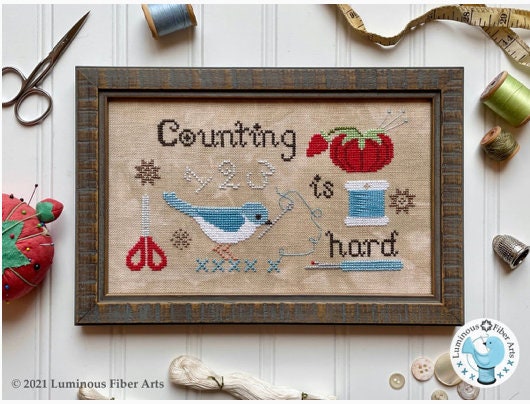 Counting is Hard Cross Stitch By Luminous Fiber Arts - Paper Pattern