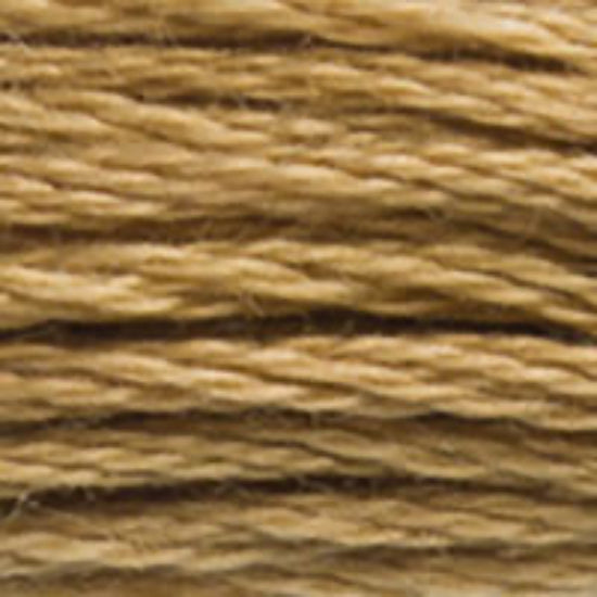 DMC-3828 Hazelnut Brown 6 Strand Floss