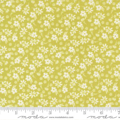 Delightfully Yours Light Green | 37701 14