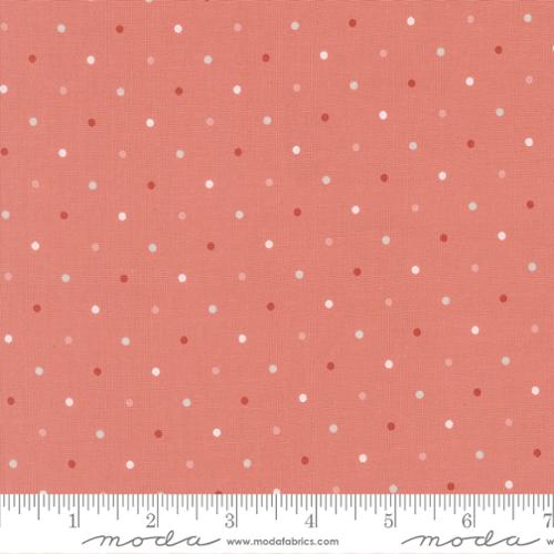 Wild Honey Magic Dot Rose Water | 5230 53