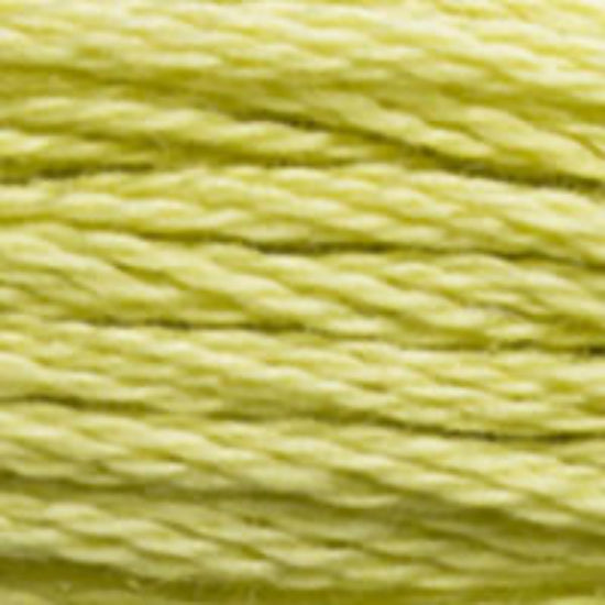 DMC-3819 Light Moss Green  6 Strand Floss