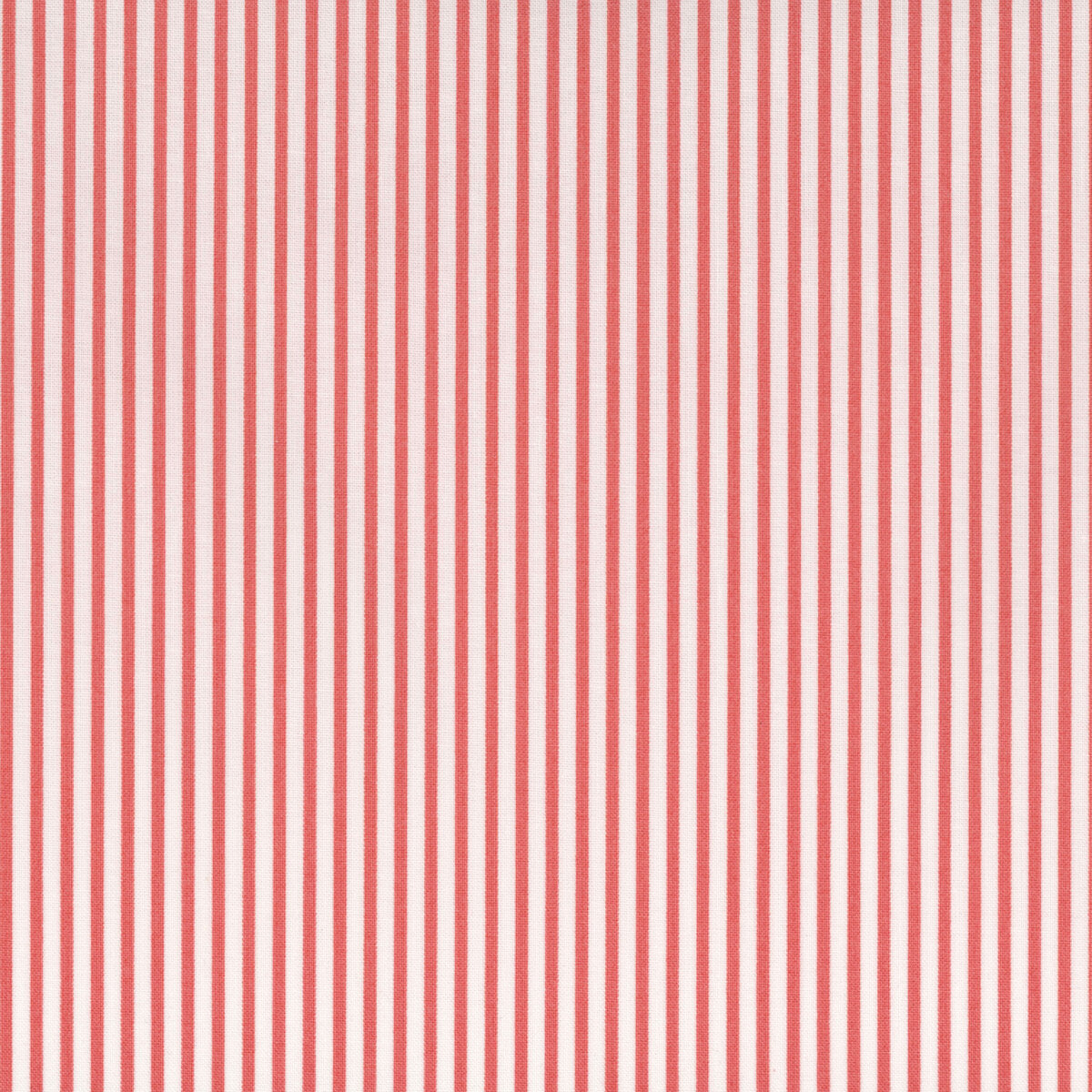 Summertime Dark Pink | 55324 23