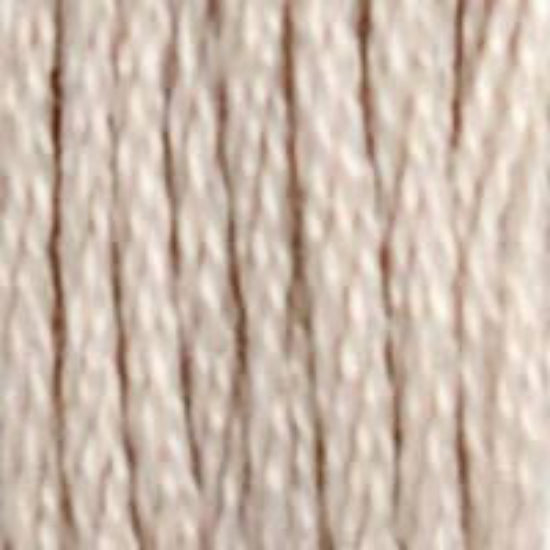 DMC-06 Medium Light Driftwood 6 Strand Floss