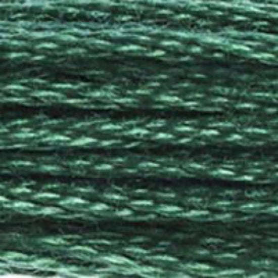 DMC-561 Very Dark Jade  6 Strand Floss