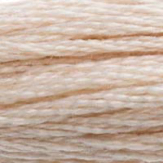 DMC-543 Ultra Very Light Beige Brown  6 Strand Floss