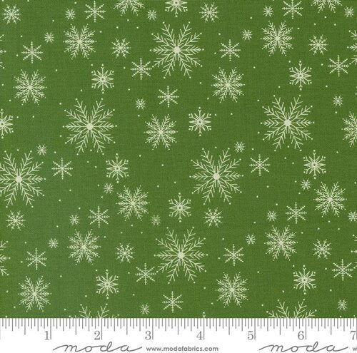 Once Upon a Christmas Evergreen | 43164 15